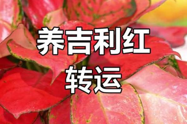 红色是吉利还是不吉利呢 红色是吉利还是不吉利呢