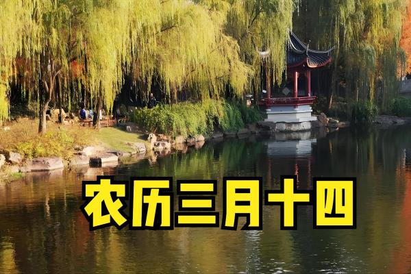 三月十四日是什么节日(三月十四日是什么日子)