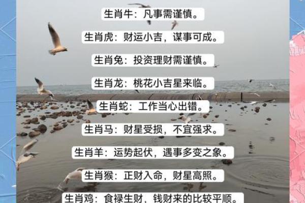 属鼠人2024年每月运势详解，几月财运最好几月要谨慎注意？