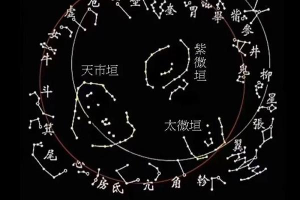朱雀最忌三种属相 朱雀最忌三种属相的人