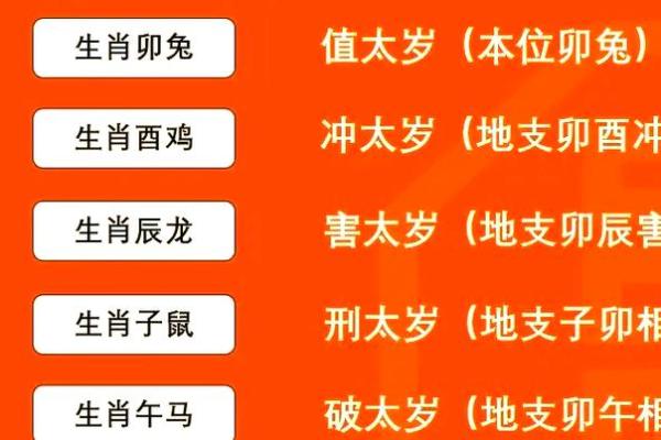 2025年属鼠的人犯太岁需要注意哪些方面和禁忌？