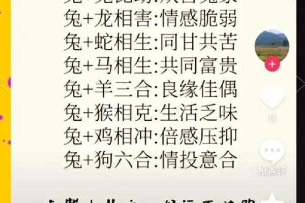 1999年的兔女什么时候动婚(1999年属兔的女孩什么年结婚好)