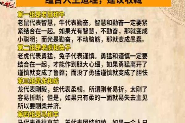 想了解众志成城所指的生肖动物及其背后的文化寓意解析