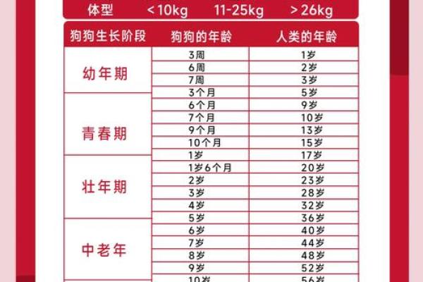 属狗的出生在几月份比较好 属狗的出生在几月份比较好命