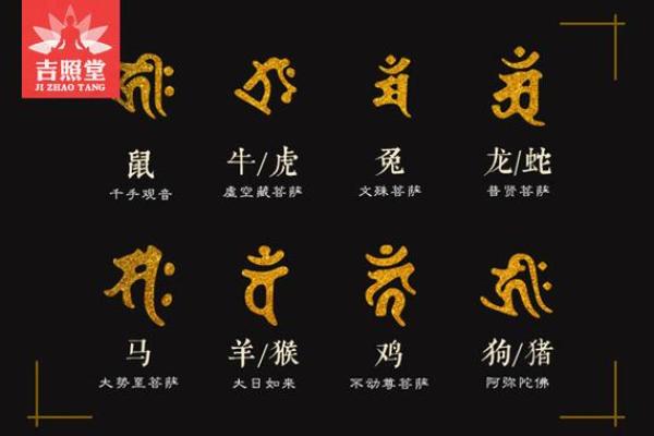 蔡邕救琴是什么生肖