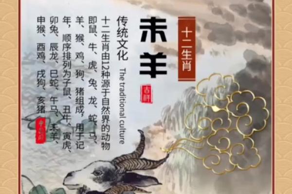 六畜之中他最勤是什么生肖
