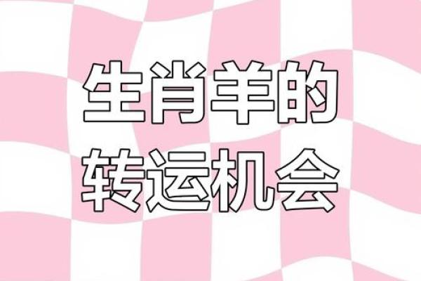 前途无量指什么生肖，具体有哪些特征和寓意解析