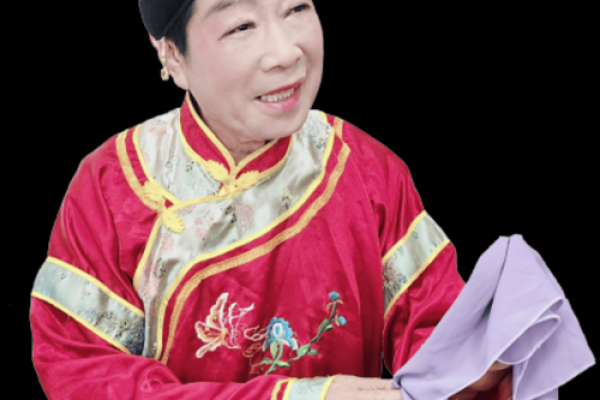阿必大回娘家沪剧全集 阿必大回娘家沪剧全集在线观看