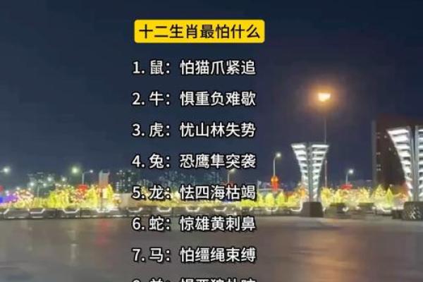 摇首顿足开过什么生肖(摇首顿足开过什么生肖) 摇首顿足开过什么生肖(摇首顿足开过什么生肖)