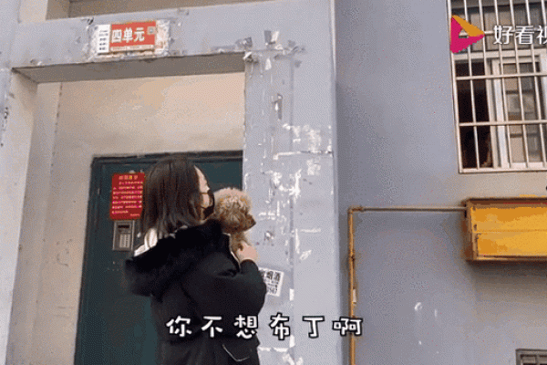 回娘家小说集父之过全文阅读 回娘家门阅读全文