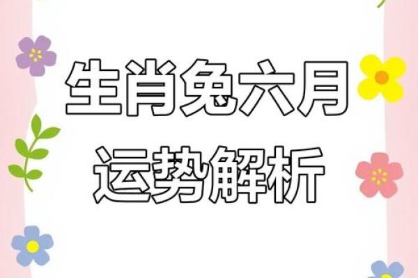 2025年属兔本命年运势如何 属兔2025本命年运势及运程