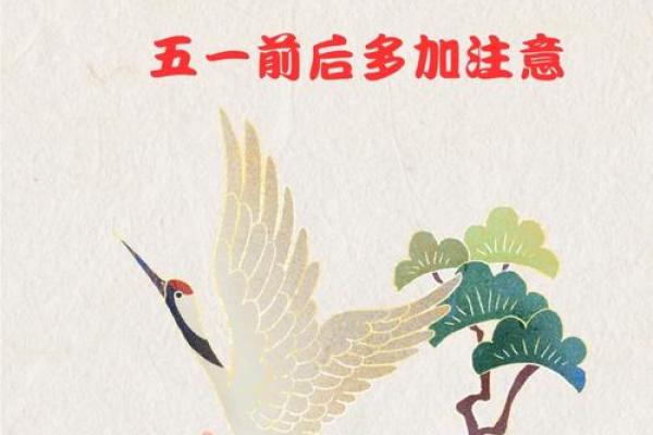 民间俗语母猪上树”是否与十二生肖中的某个生肖存在隐含的关联？