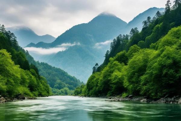 高山绿水是什么生肖 青山绿水打一生肖动物