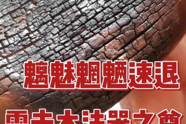 雷击木什么属相不能戴 雷击木适合什么体质的人戴