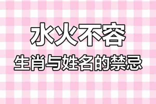 水火不容什么生肖