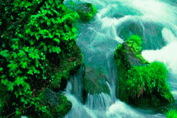 高山绿水是什么生肖(高山绿水猜一肖)