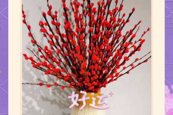 什么属相不能养银柳 什么属相不能养银柳树