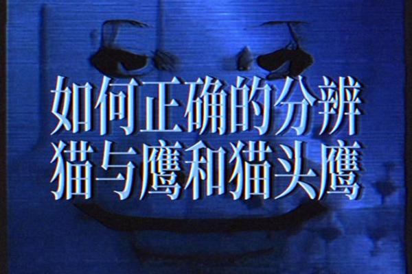 猫头鹰吉利还是不吉利 猫头鹰是不是不吉祥