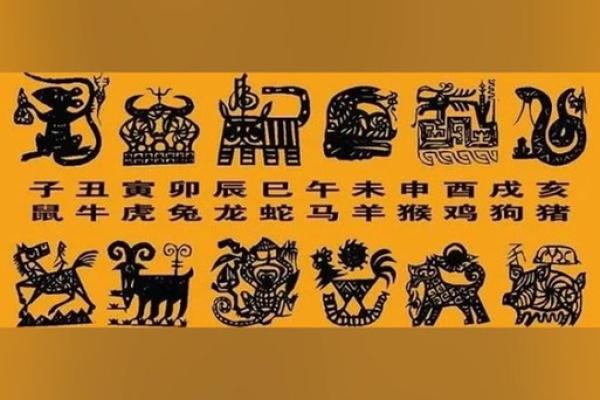 一表非凡是什么生肖