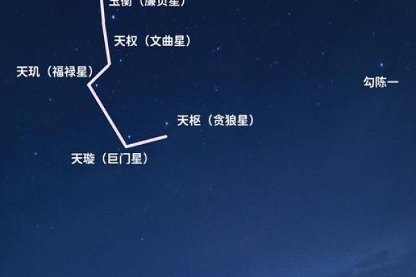 ‌夜观天象打一生肖 → 猴‌（猴仰星汉，夜窥天机）