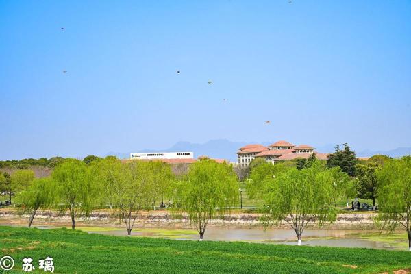 晴空万里是什么生肖 晴空万里天蓝蓝打一生肖