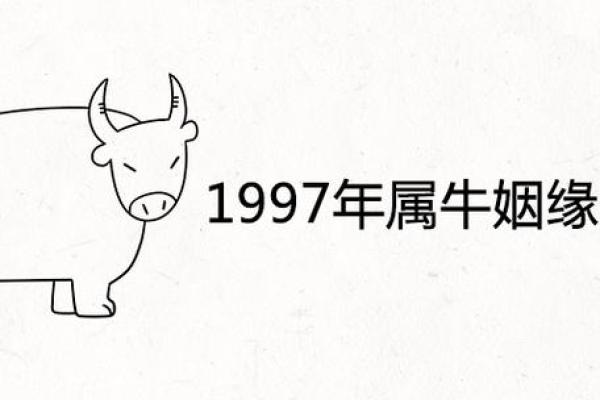 1997年属牛姻缘在哪年 1997年属牛姻缘在哪年女