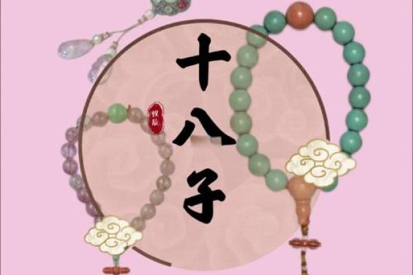 十八子手串什么属相不能戴 十八子手串图片