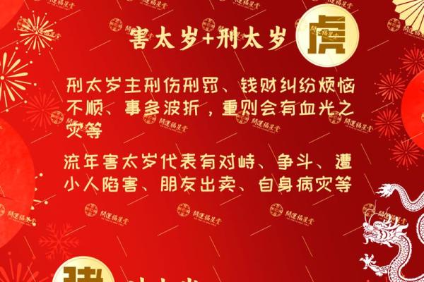 生肖鼠2025年运势预测，如何化解太岁影响并把握机遇提升运势