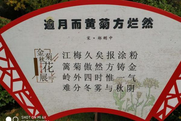 千姿百态打一生肖 千姿百态打一生肖正确答案