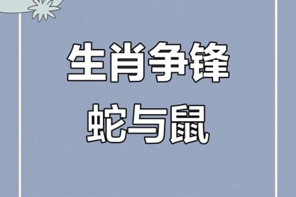 男鼠女蛇属相合不合 男鼠女蛇生肖配对合适吗