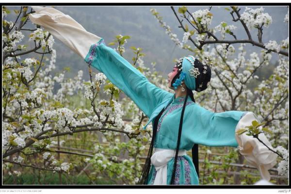 才子佳人代表什么生肖(才子佳人打一个生肖)