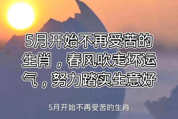 明年是什么年2020年属(明年是什么年属什么的2020年)