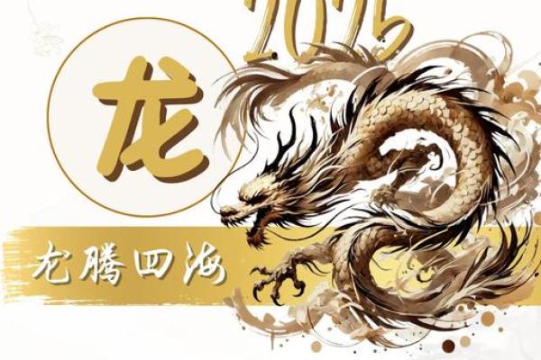 2025年小龙几月出生好 属小龙的出生年月