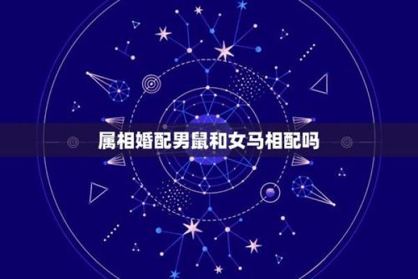 马跟鼠属相婚配如何 马和鼠属相婚配合不合