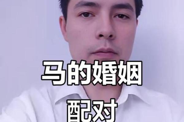 马跟鼠属相婚配如何 马和鼠属相婚配合不合