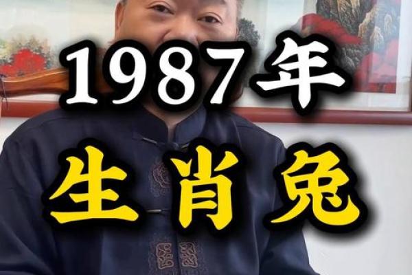 87年属兔几月出生最好命运 87年属兔女人的婚姻与命运