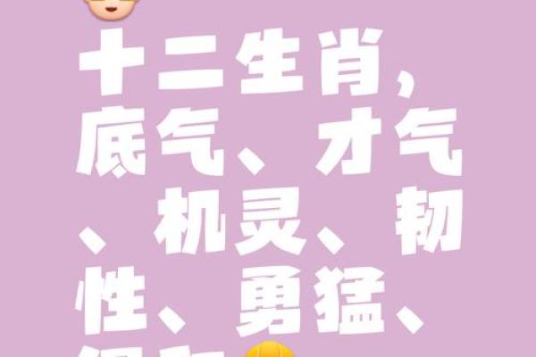 坚定不移打一正确生肖