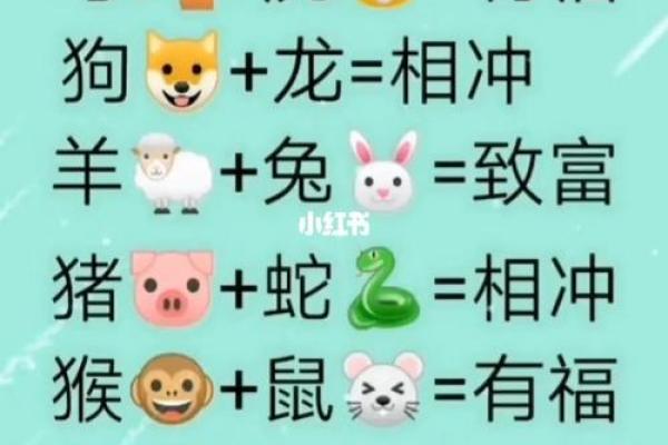 风花雪月最正确的生肖配对是什么，从传统文化角度如何解析