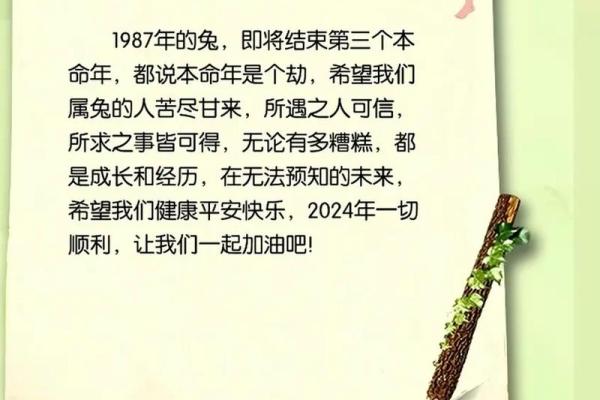 1987年属兔的几月出生最好 1987年属兔人的命