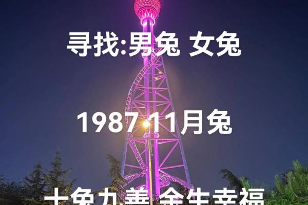 1987年属兔的几月出生最好 1987年属兔人的命