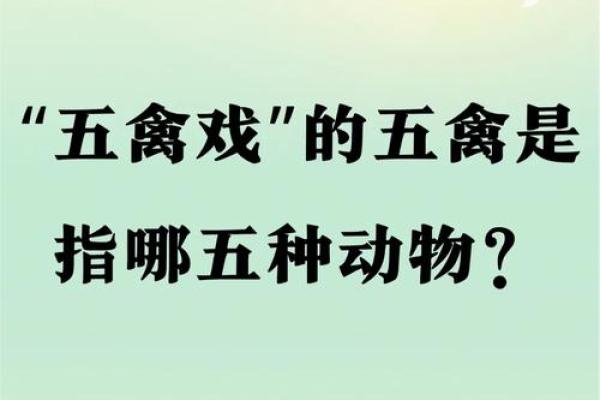 落地生根在十二生肖中具体指的是哪一个动物呢