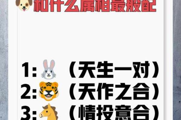 男猴和狗女的属相合不合 男猴和女狗配吗