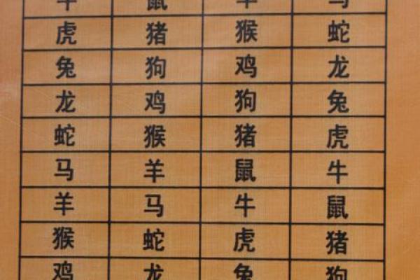 天罗地网最佳生肖答案