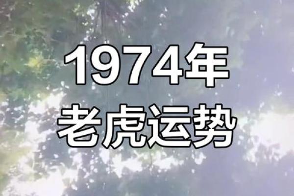 74年虎女几月出生最好 74年属虎女几月出生最好呢