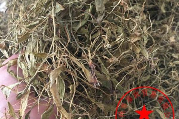 老谋深算是什么生肖(老谋深算(打一中草药名))