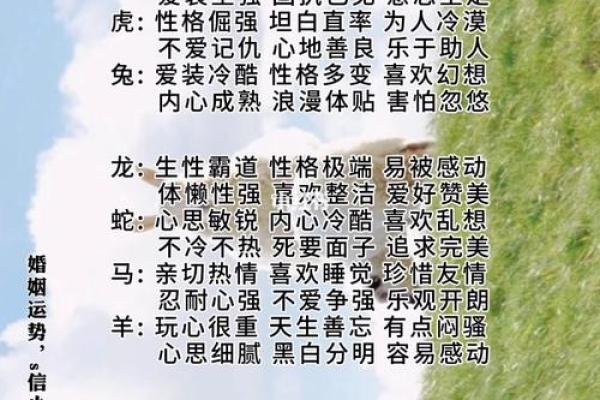 保家仙最喜欢的四个属相 保家仙性格