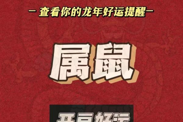 2024年属鼠人全年运势详解，事业财运健康感情如何发展？
