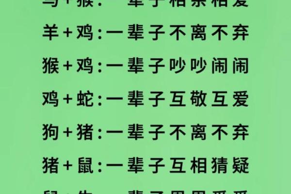 十二生肖最佳婚配组合大全：哪些生肖配对最幸福长久？