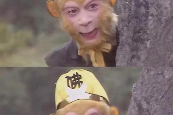‌声东击西打一生肖 → 猴‌（猴戏佯攻，虚晃一枪）