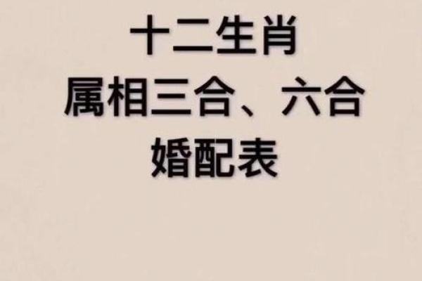 猪和鼠的属相合不合 猪和鼠的属相合不合财运呢